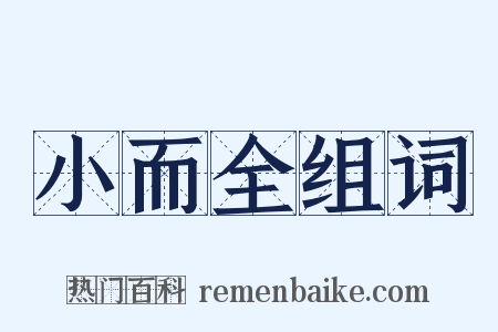 小而全组词是什么意思的图片